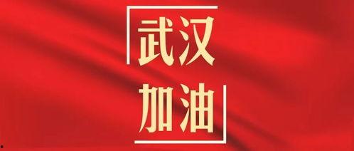 武汉加油最新爆料,抗疫英雄再创辉煌——最新爆料揭秘！